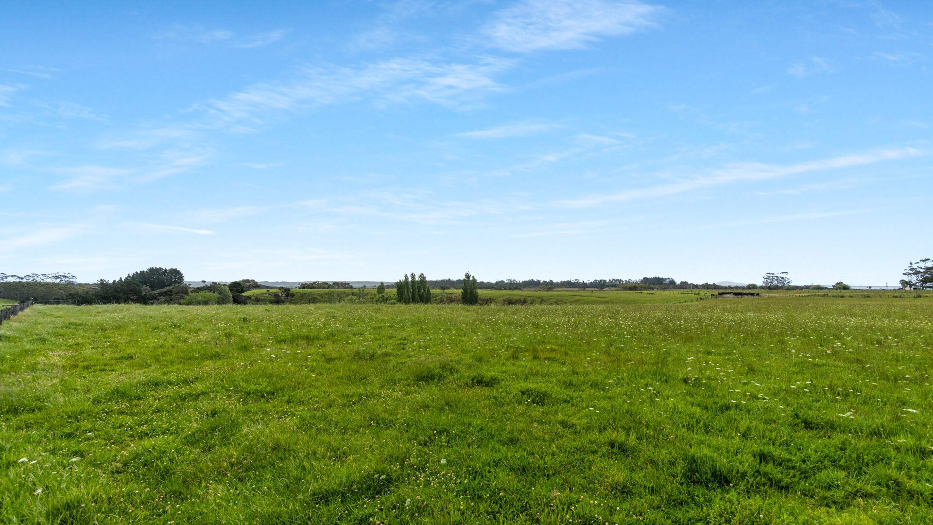 174947383__1763158528-13746-20251103-DSC04701