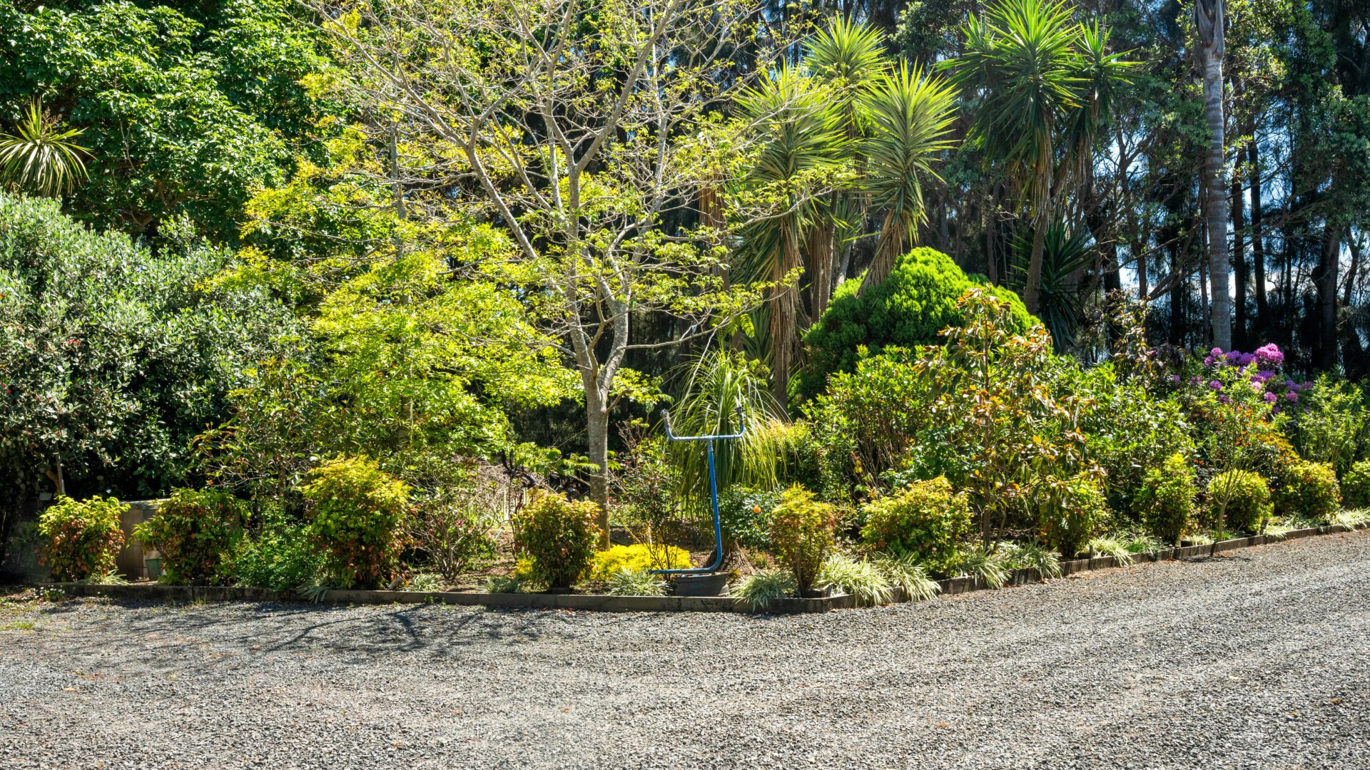 174947437__1763158559-202306-20251103-DSC01331