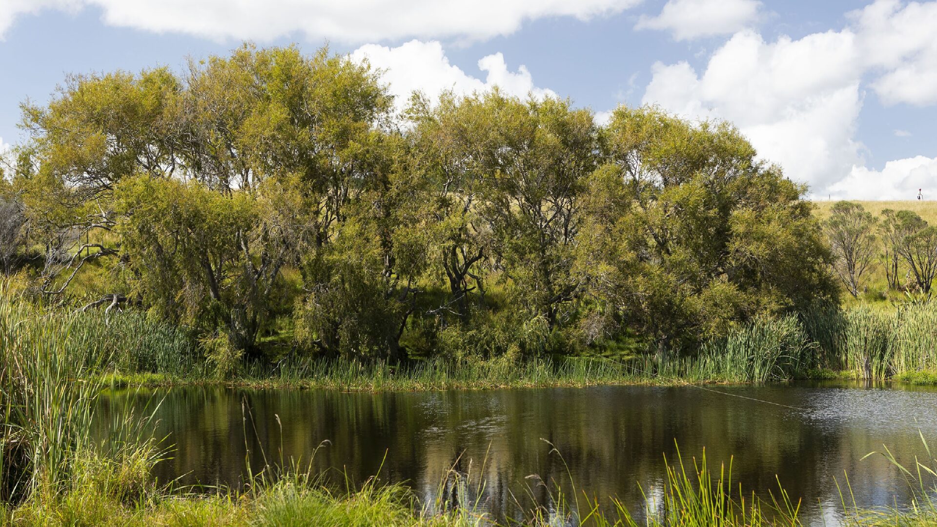 176139135__1763700468-75101-3