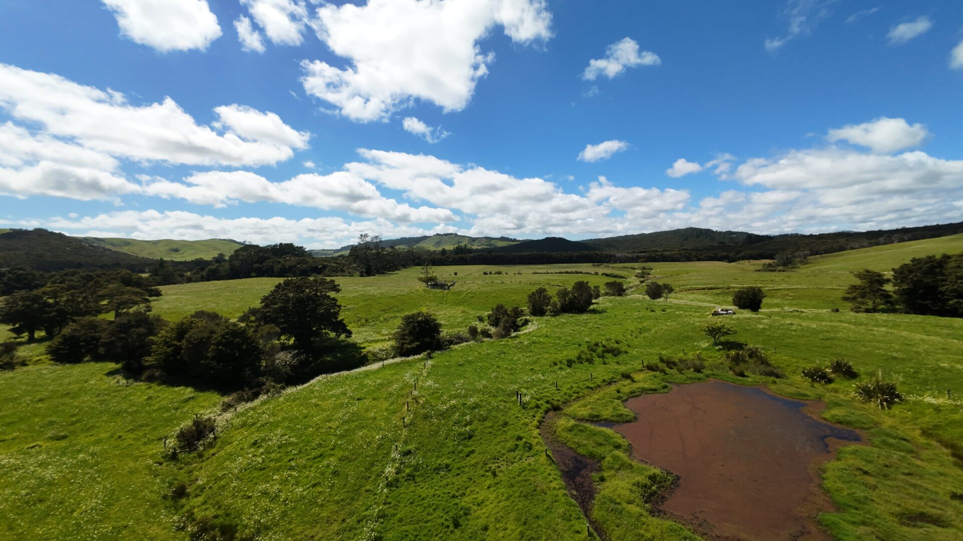 176527481__1764025752-1764025679