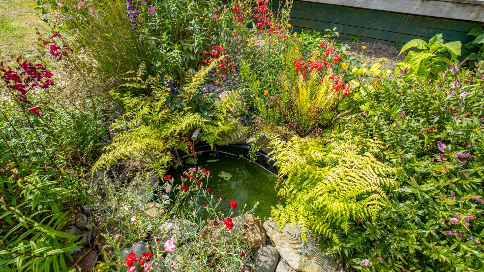 176655390__1764059925-110410-12DoubtlessBayDrive40of44