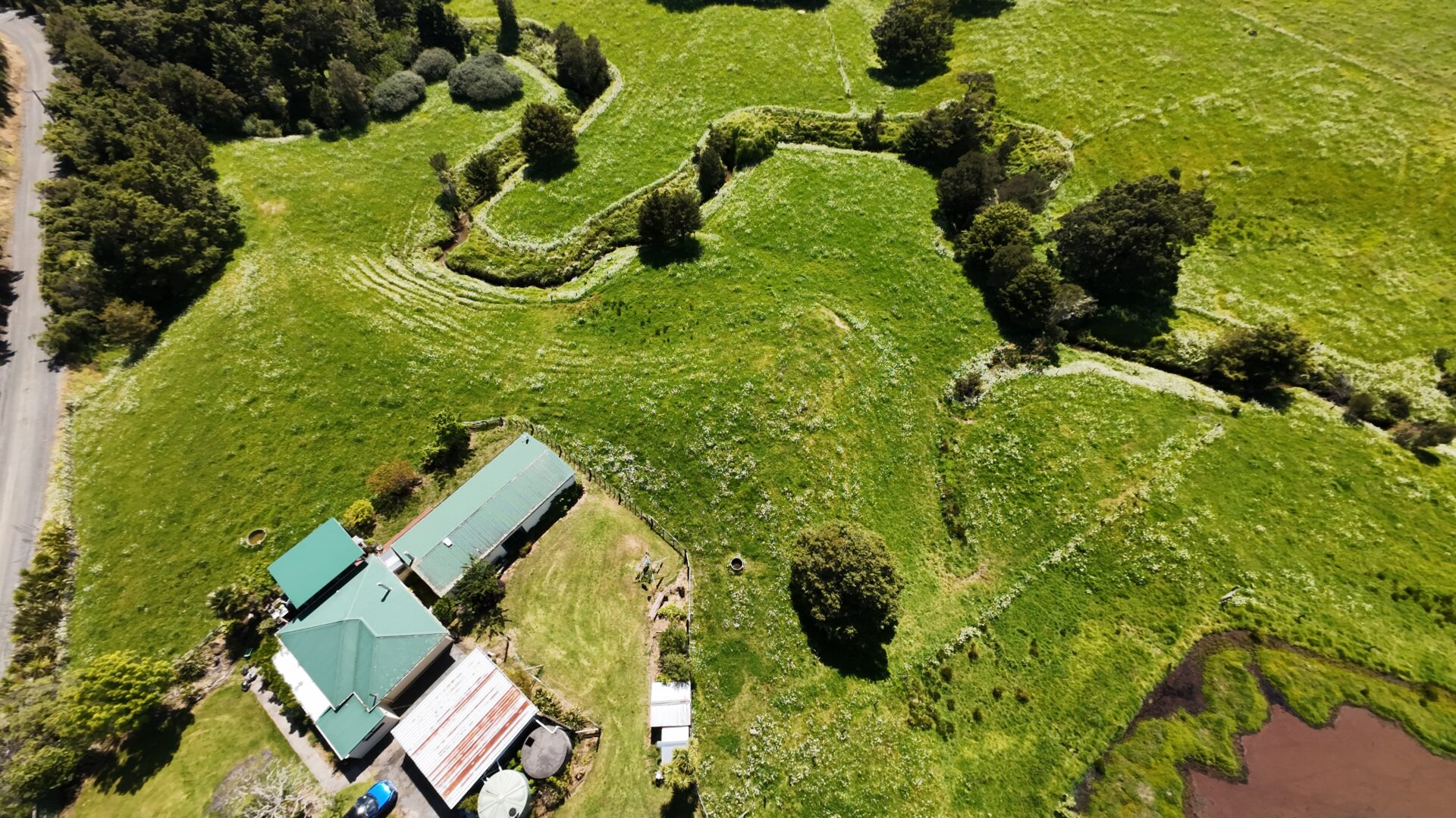 176803579__1764123046-1764123016