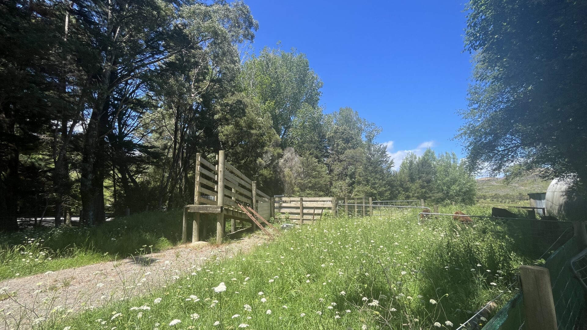 177017350__1764211775-1764211715