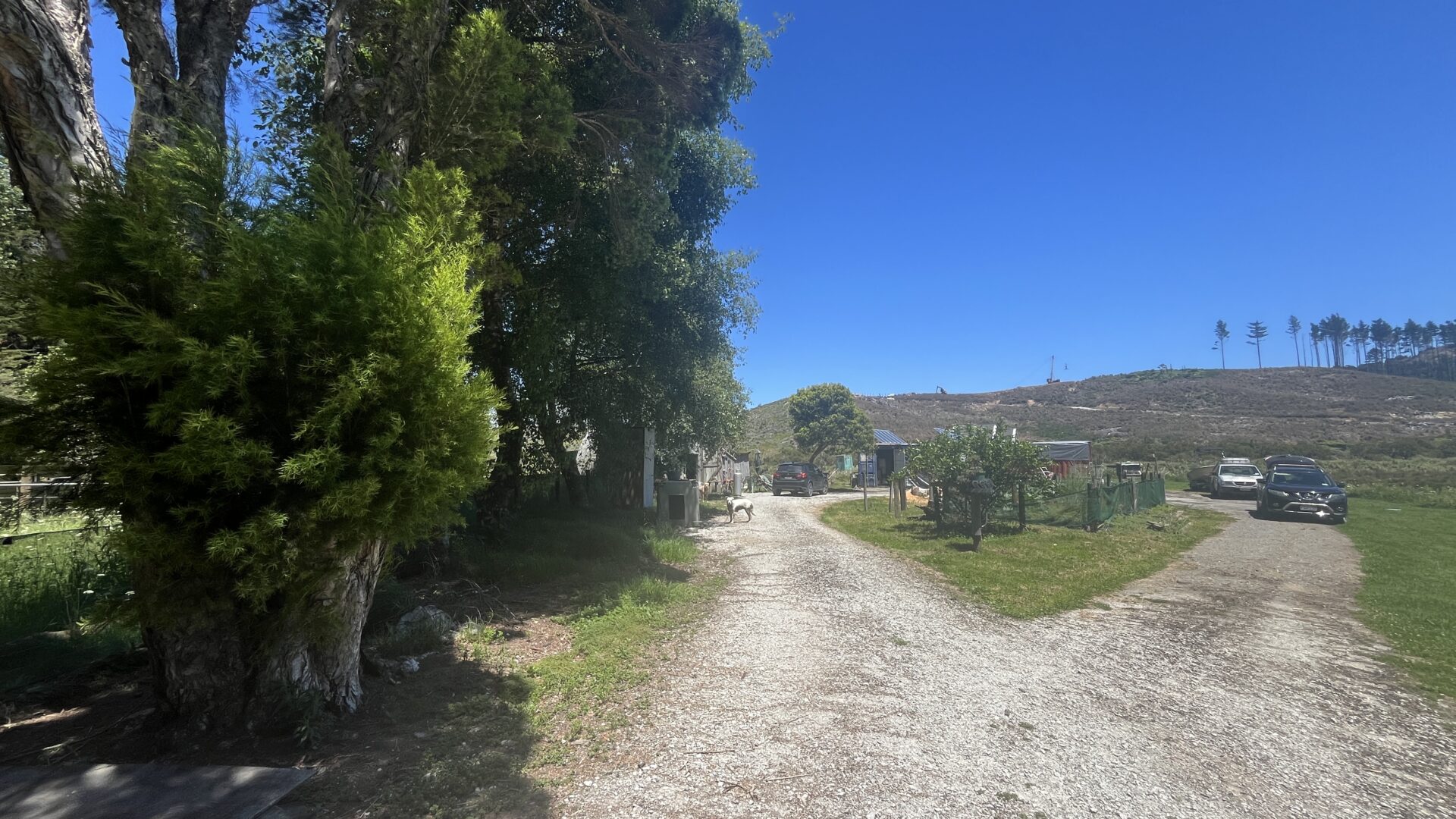 177017352__1764211776-1764211731