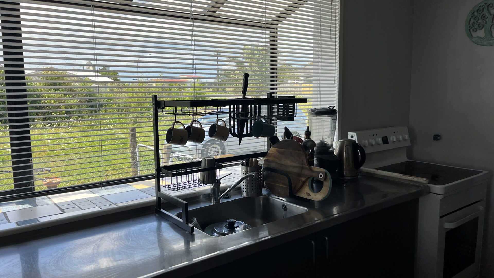 177090432__1764275909-16338-IMG8685