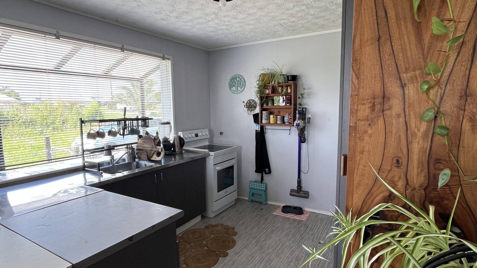 177090602__1764275925-16314-IMG8678