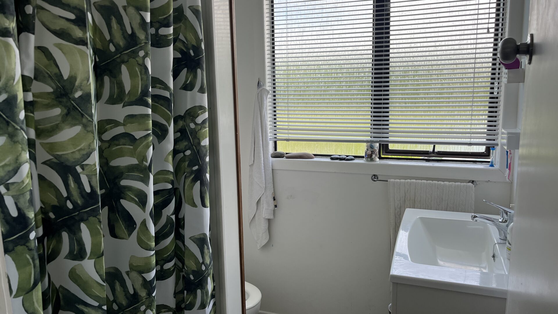 177173385__1764286234-25996-IMG8699