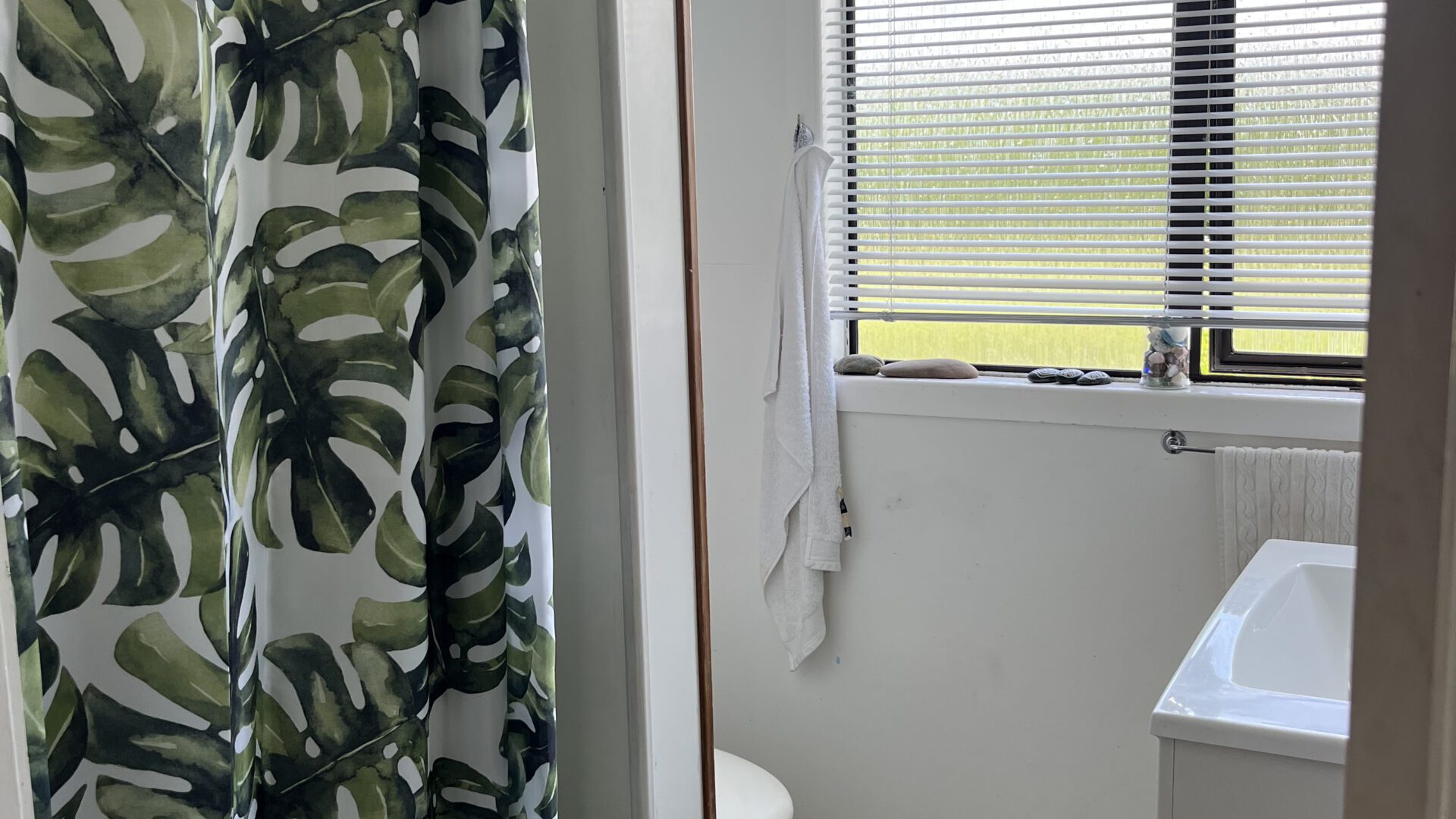 177173424__1764286236-210314-IMG8702