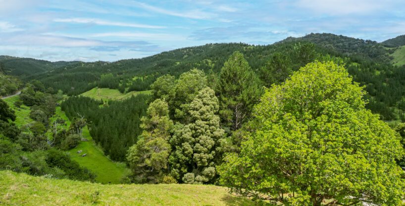 Tucked Away in Peria