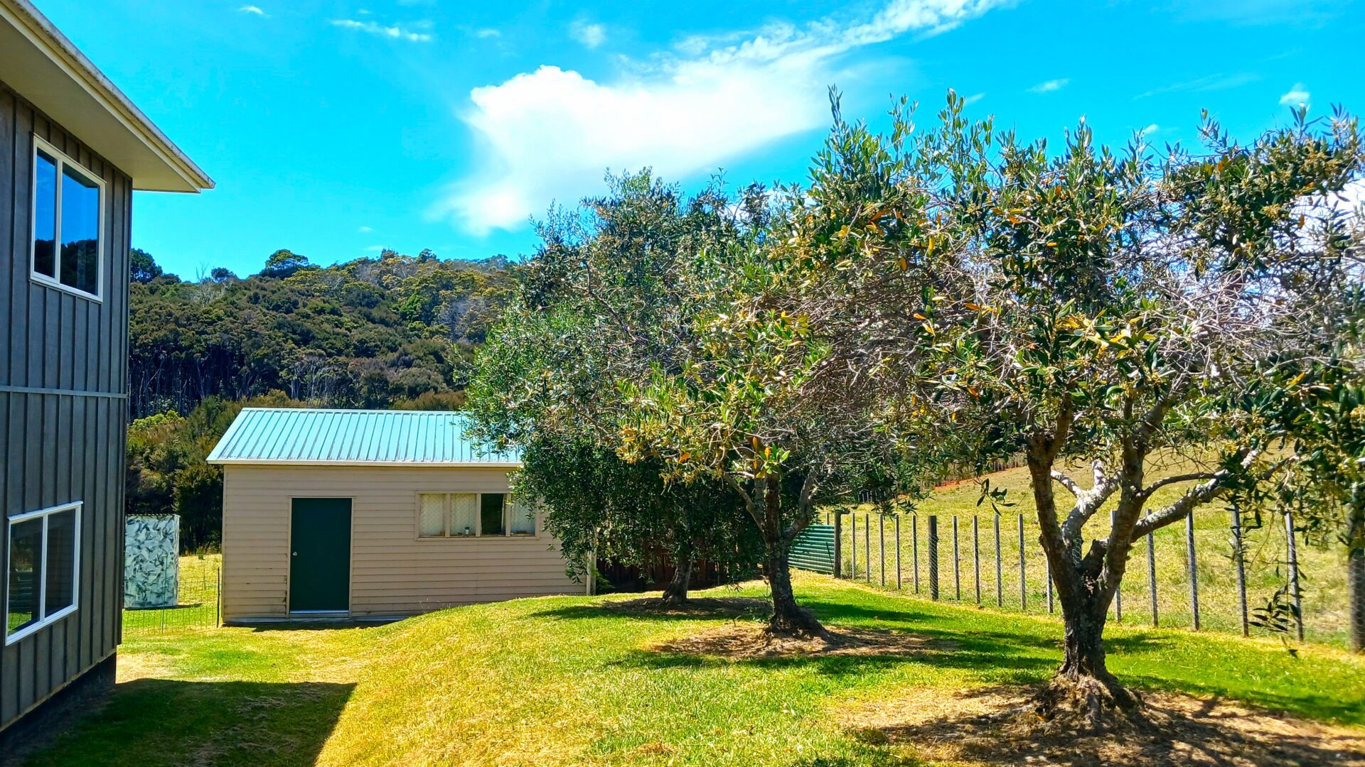 121219191__1731388444-178421-20241107121308