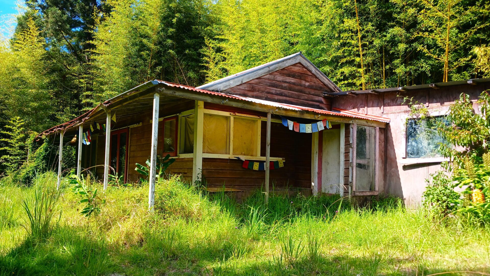 142111304__1743405705-97282-20250324130334