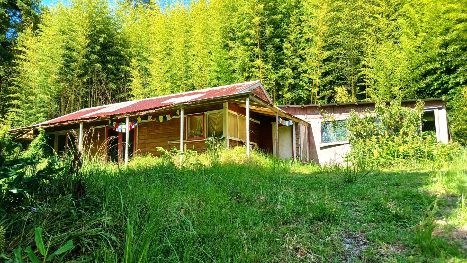 142111331__1743405713-97658-20250324131036