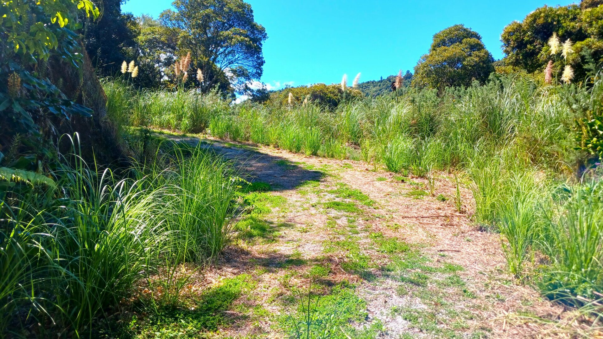 142111333__1743405716-108647-20250324131535