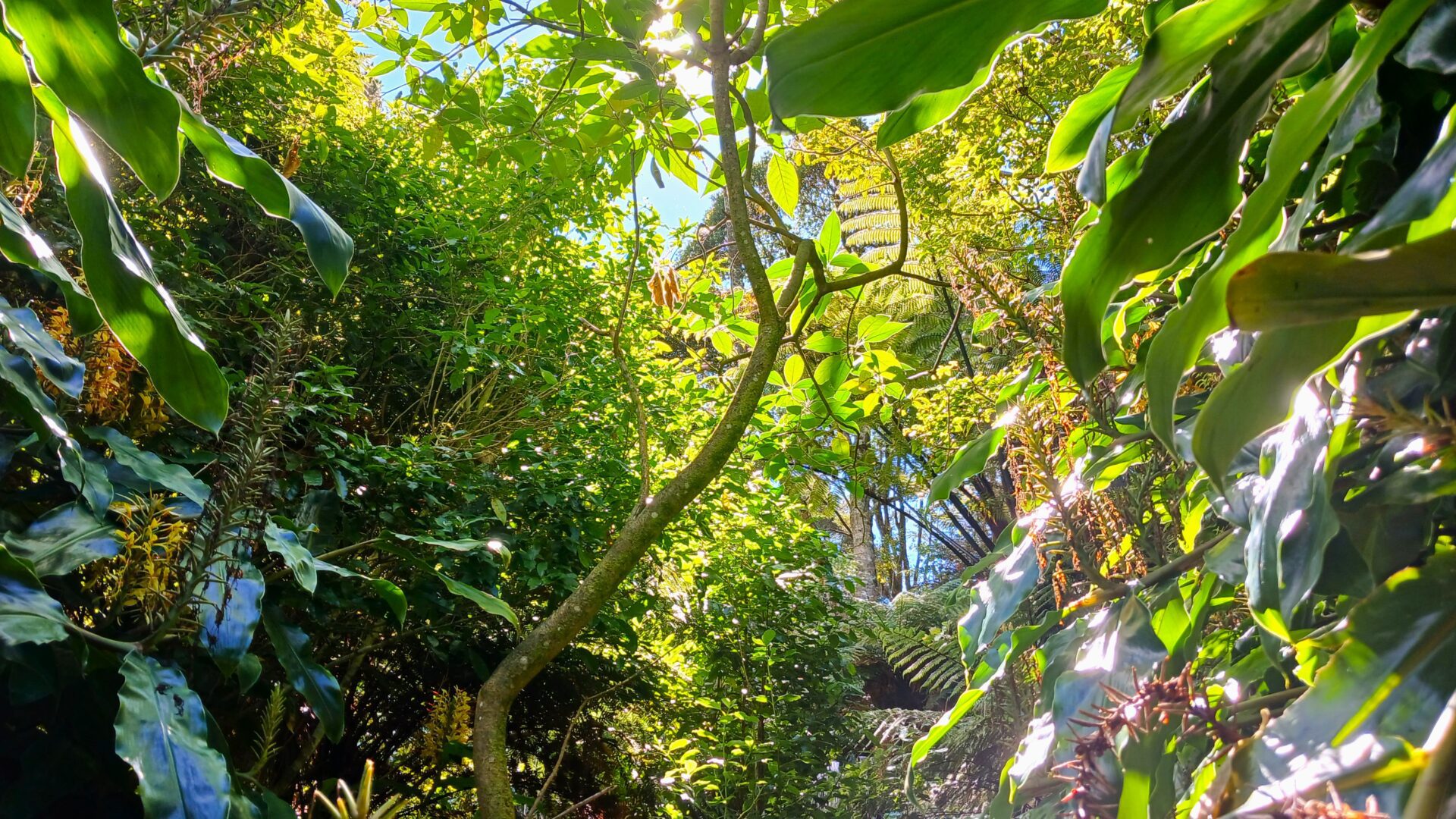 142111340__1743405725-108639-20250324133532