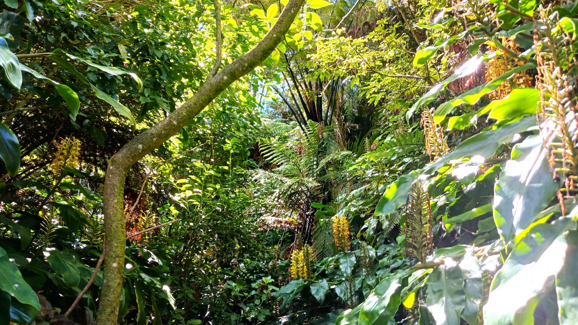 142111342__1743405727-97533-20250324133549