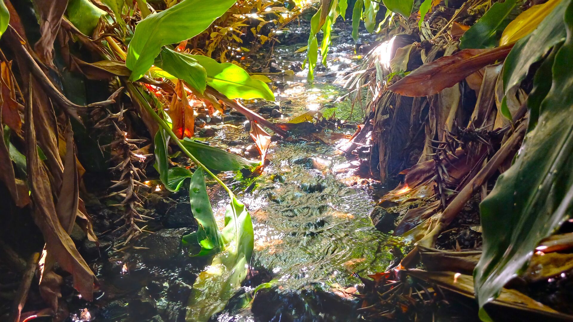 142113852__1743411918-108433-20250324132358