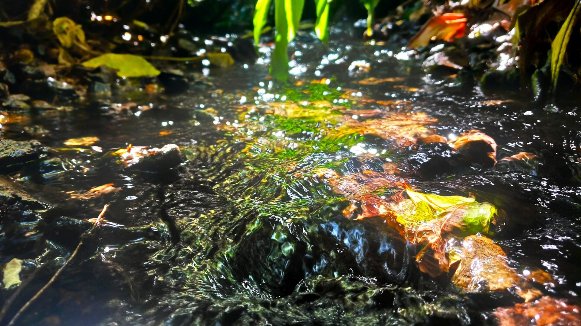 142113853__1743411919-108555-20250324133424