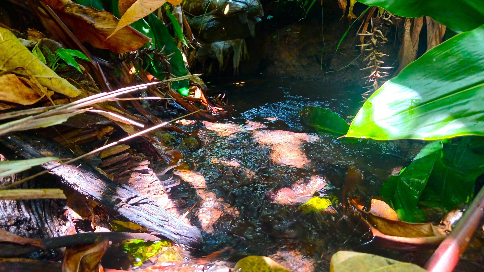 142113854__1743411921-108527-20250324133617