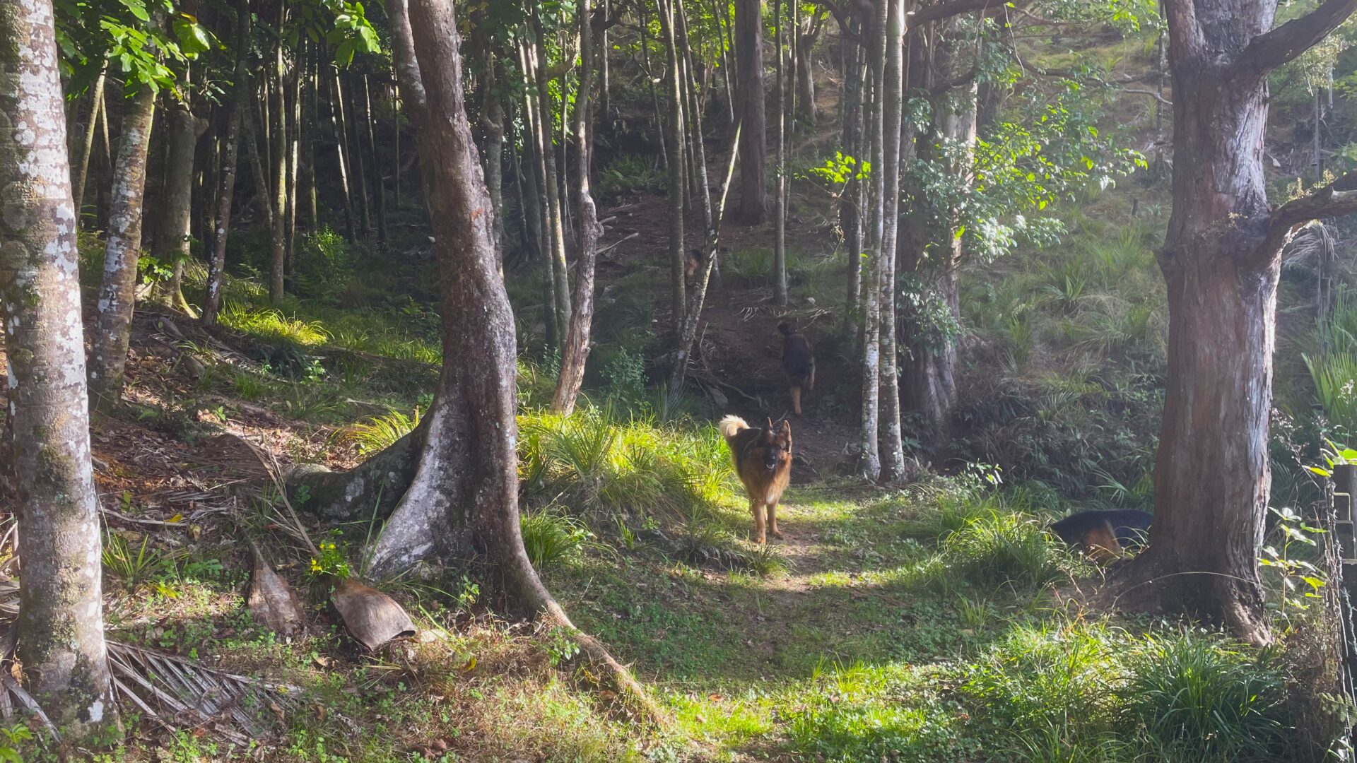 178398885__1764815360-55622-1177322701729724101-115531-IMG7435