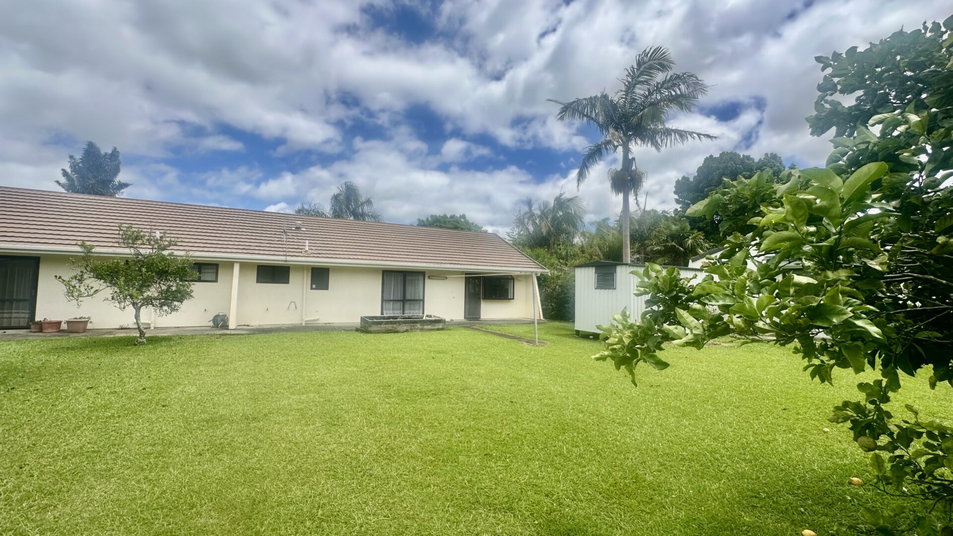 178701163__1765144207-26334-IMG6330