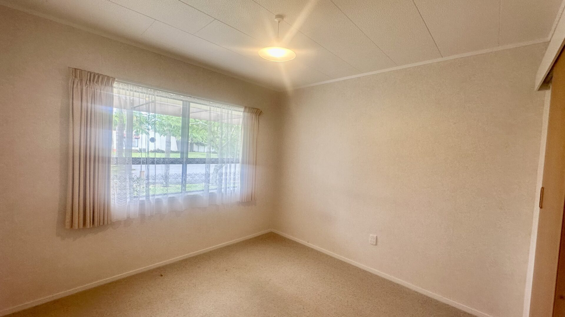 178701235__1765144227-26350-IMG6350