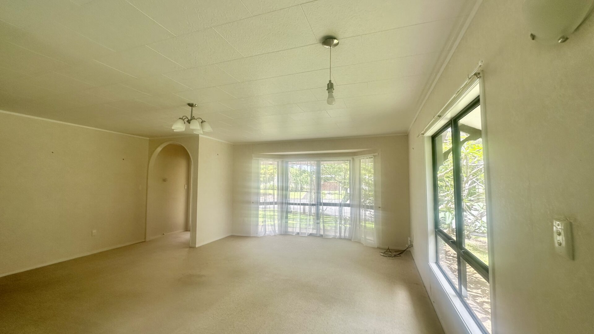 178701275__1765144232-26330-IMG6343