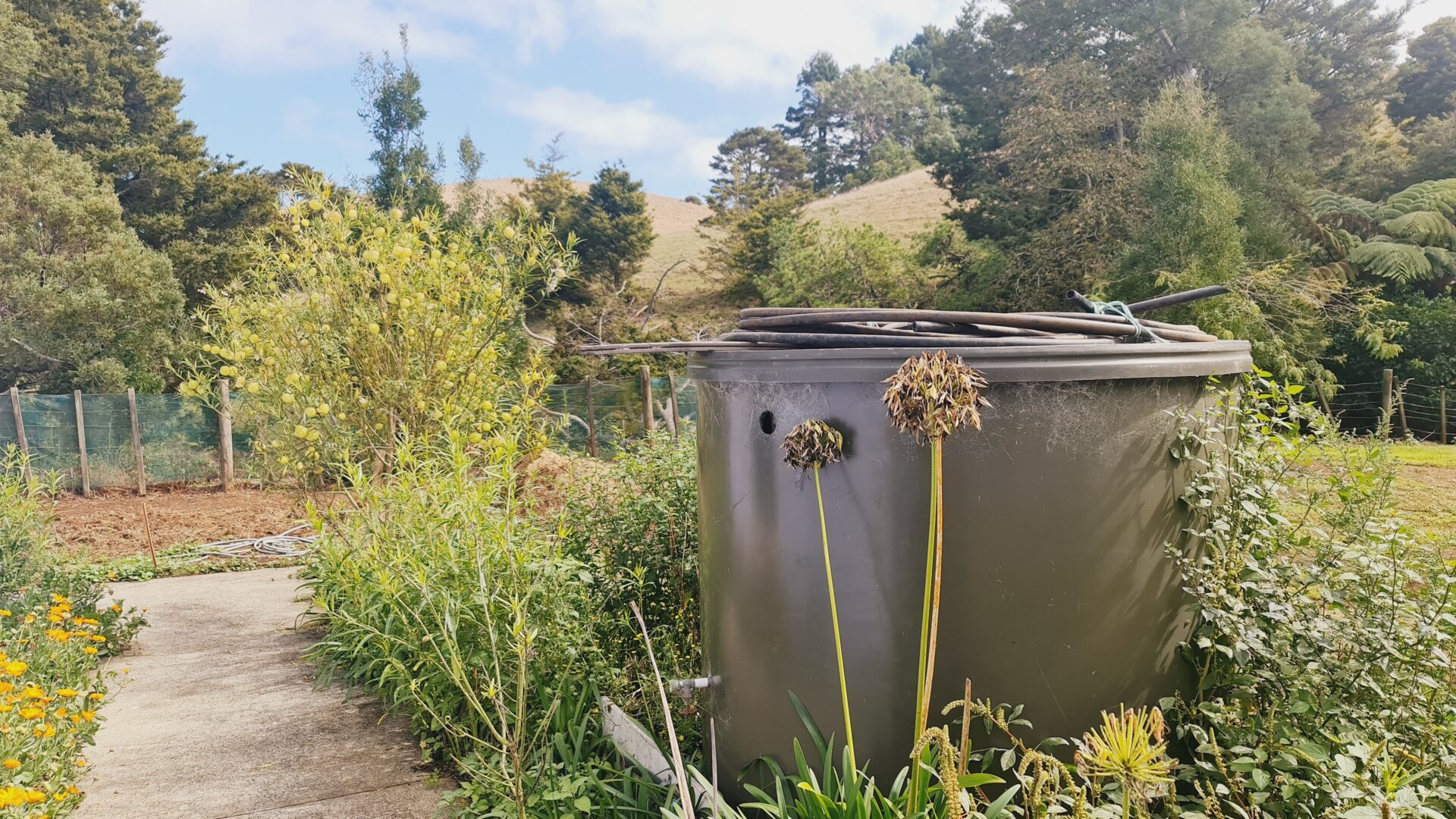 92066618__1716357332-89776-20220407111530