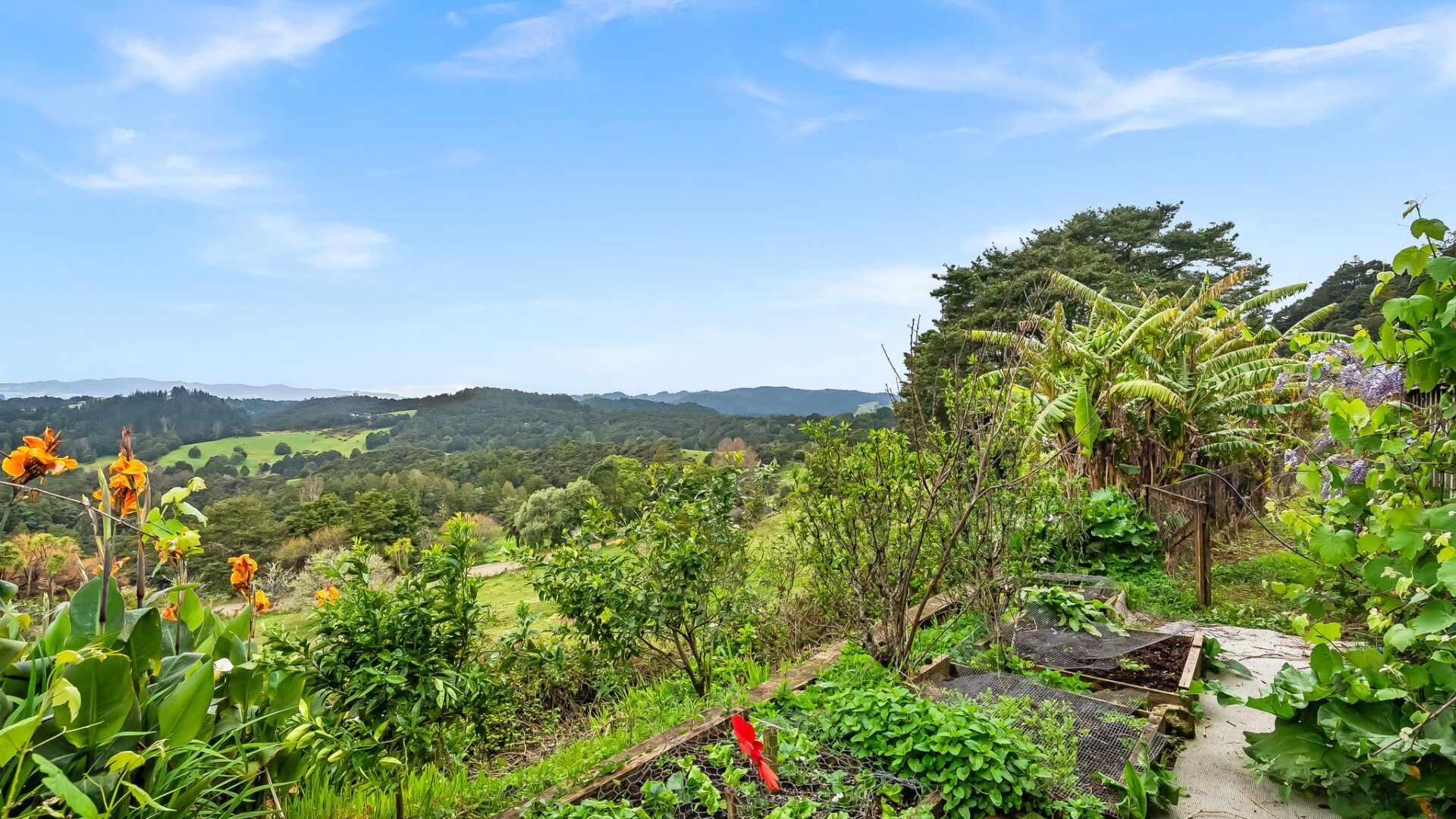 166505589__1759698398-7125-web945SpringfieldRoad-11