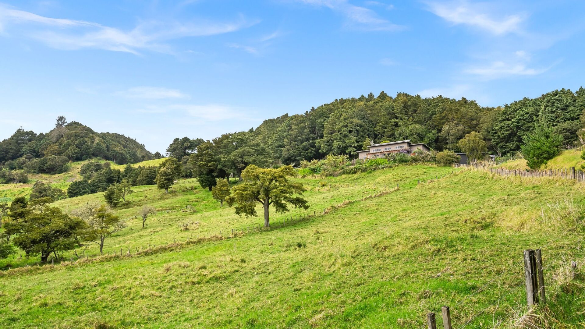 166505637__1759698406-20600-web945SpringfieldRoad-17