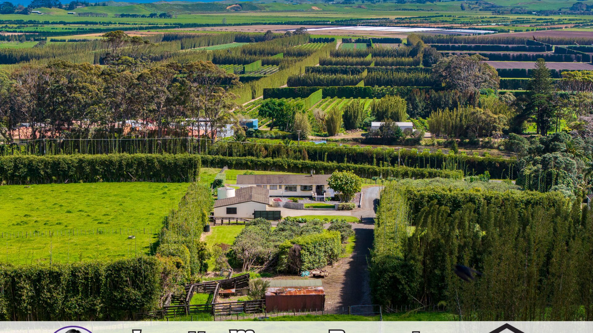 169893204__1761607363-41235-e5b59bf8-ff7e-4ced-99e9-764ab33ba09c