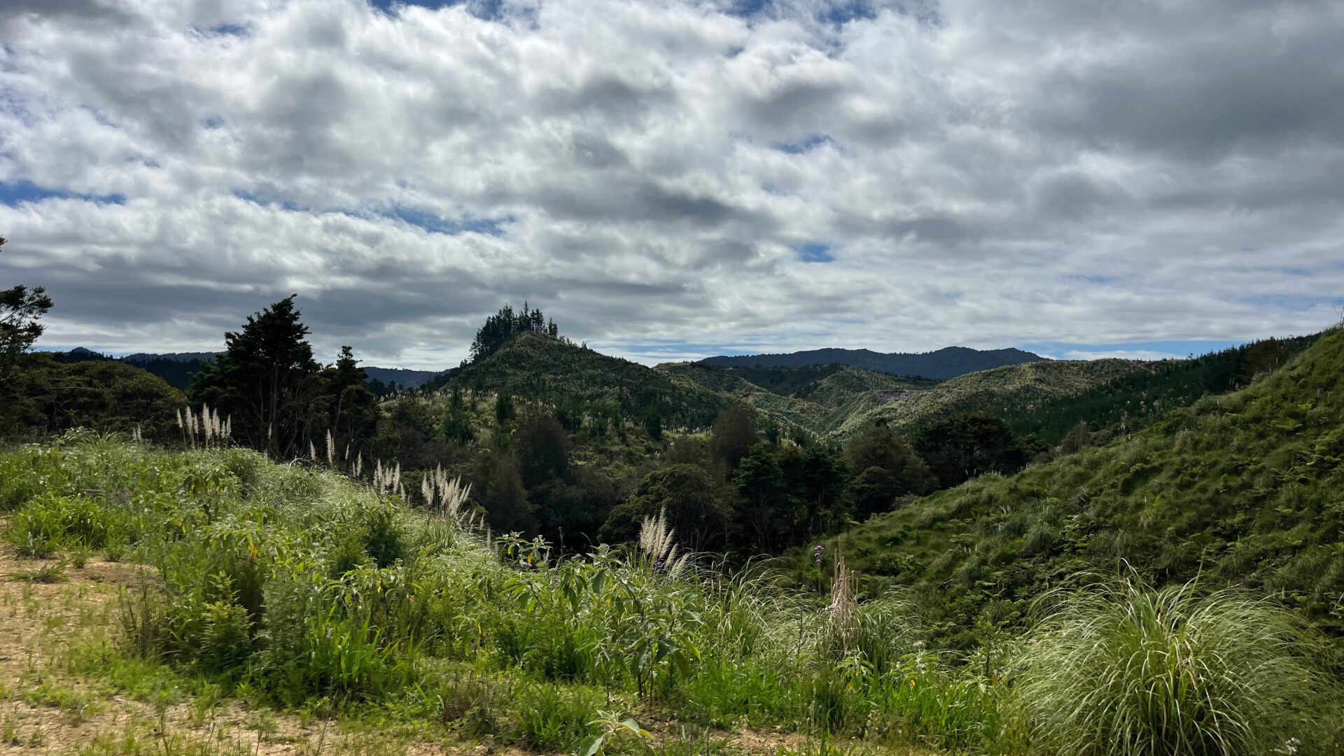 173869617__1762726094-15353-14fe2860-be88-492f-8361-68c330de923e