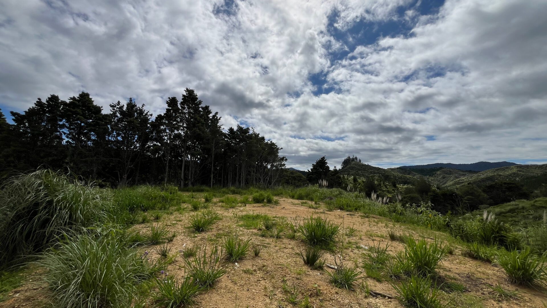 173869888__1762726117-28598-c7f33d3e-484a-45b1-a343-80f5863aafdb