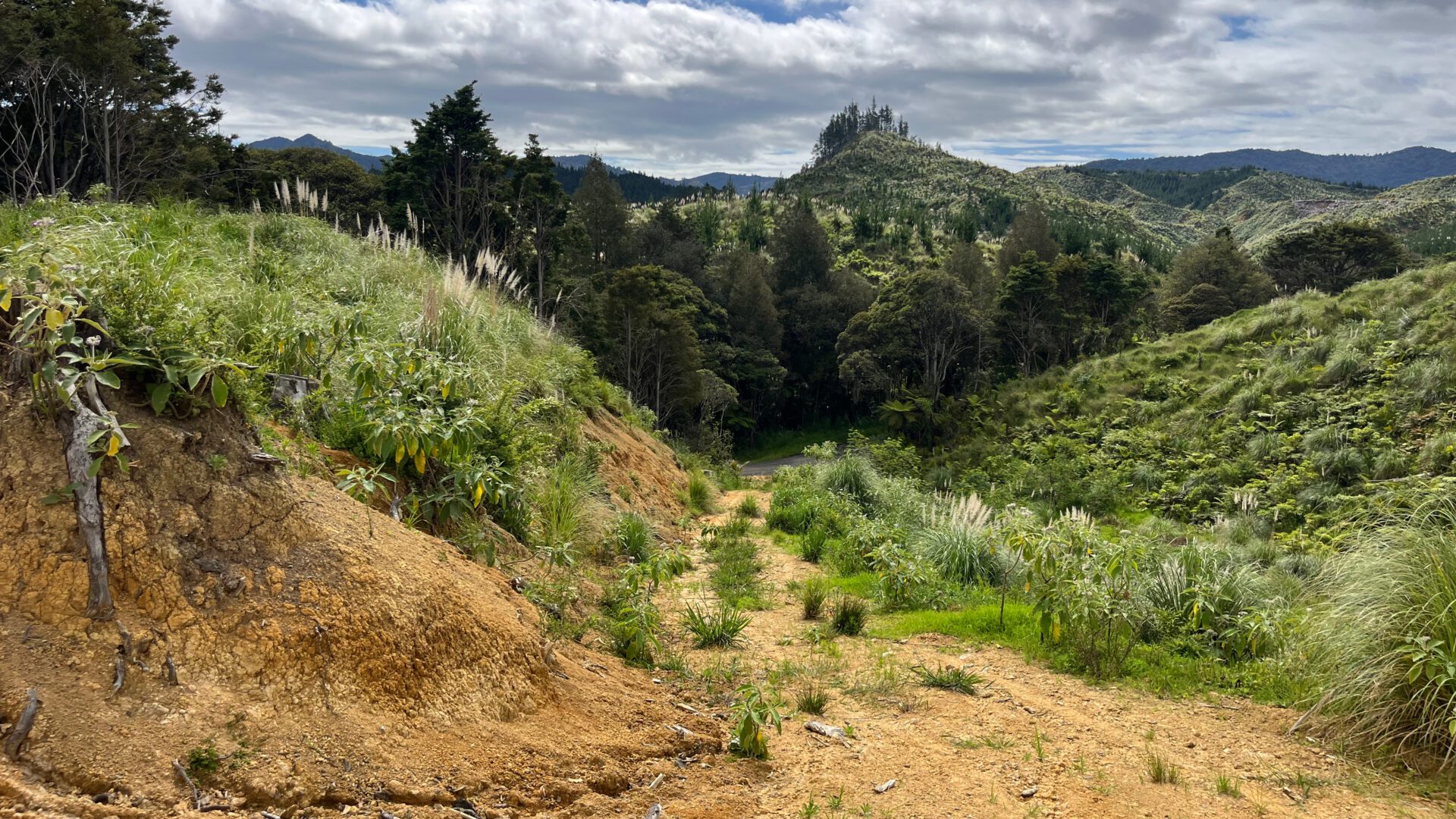 173870026__1762726127-15350-a44b78d6-8c28-4641-a34f-4fa5e8a1763b