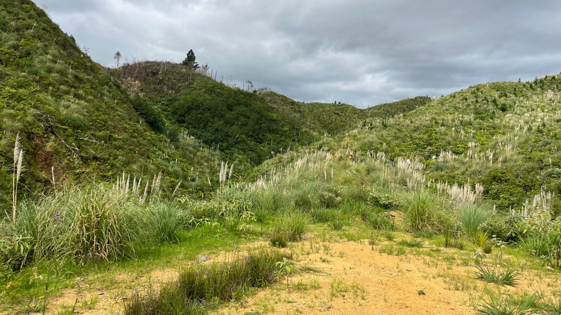 173870156__1762726139-28567-7a60341f-5435-4b78-9686-516bf253fb97