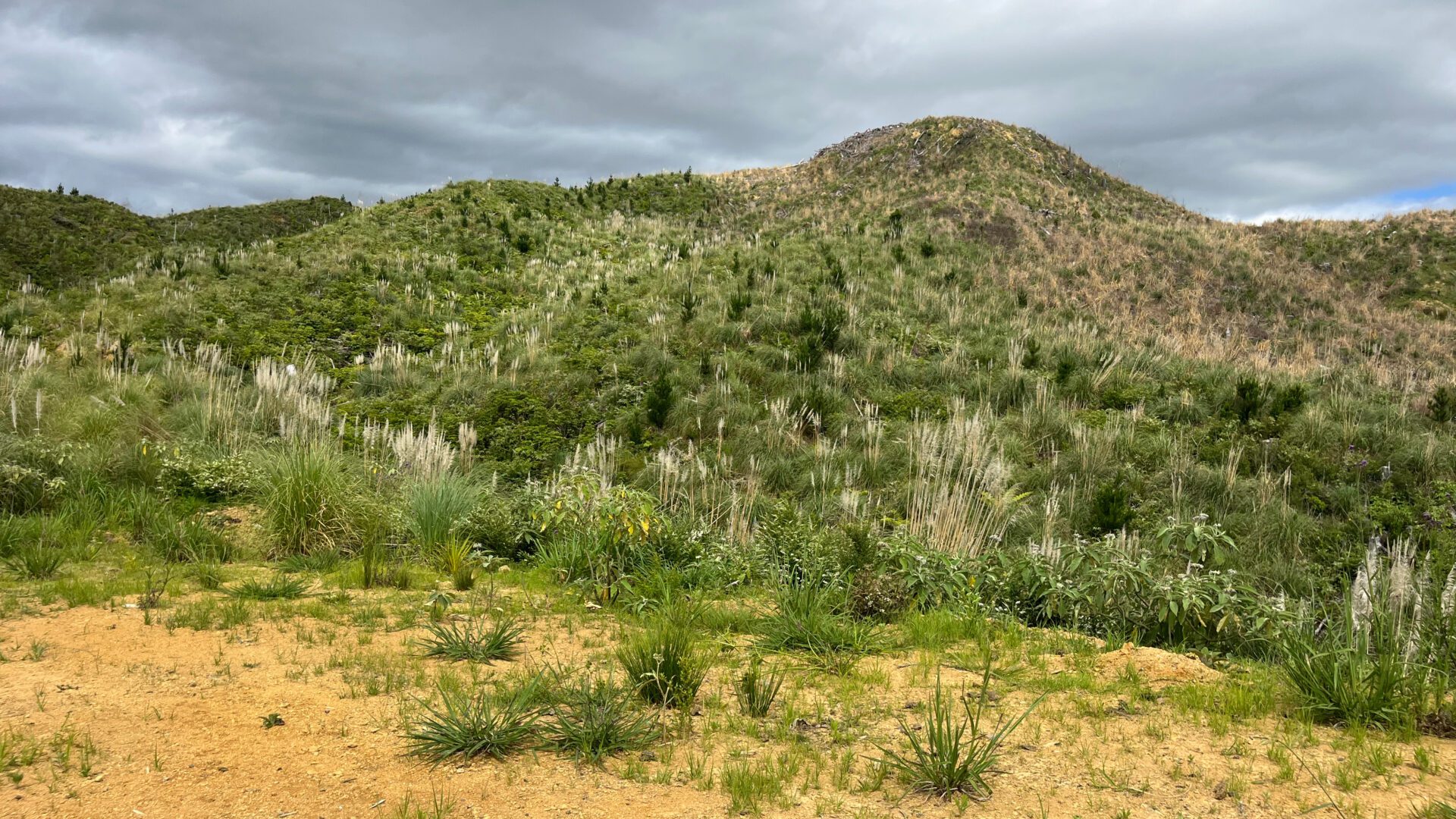 173870254__1762726152-15344-400a828b-ecbd-4239-9bf5-76873039619e