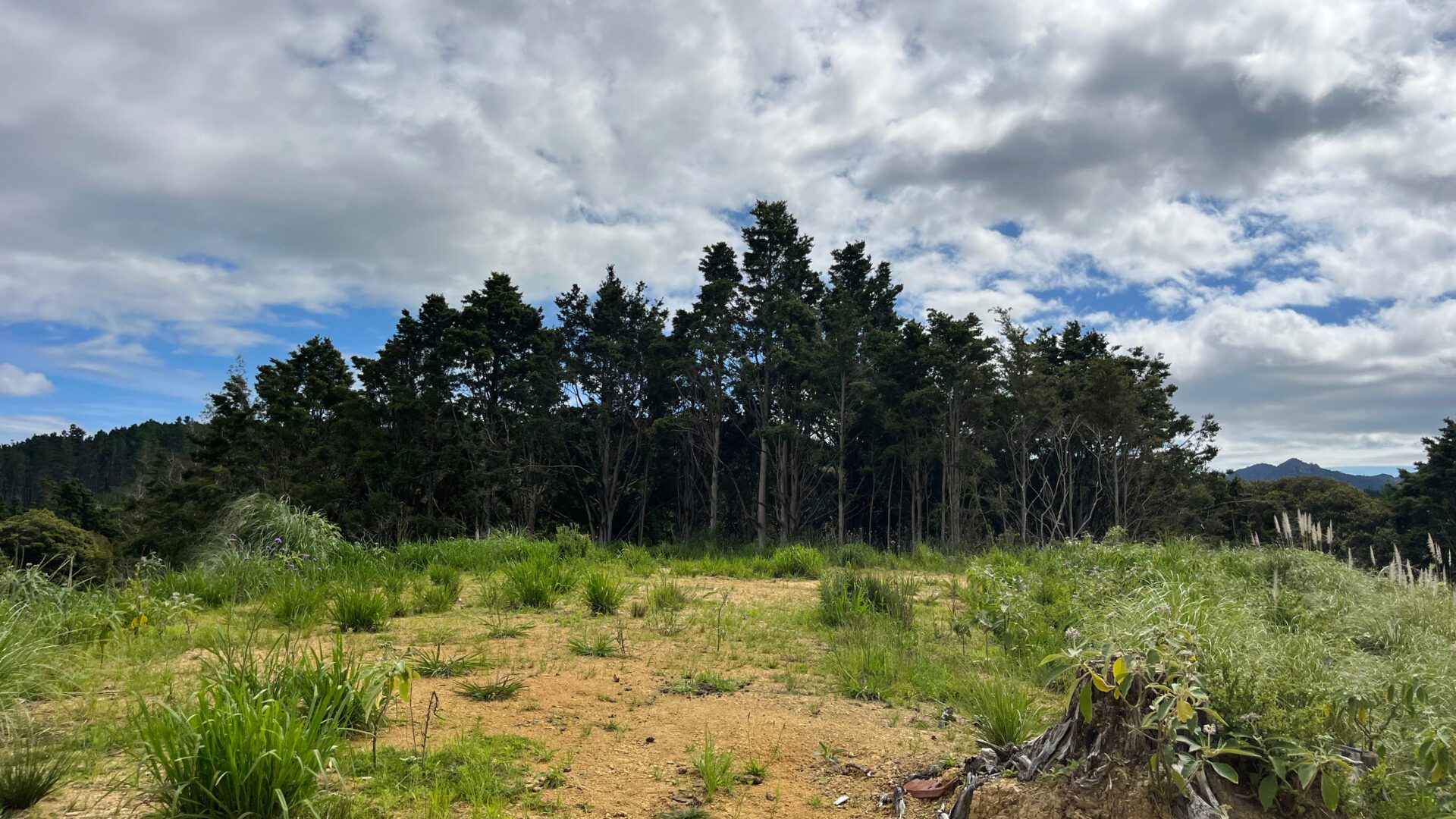 173870433__1762726169-28621-f5f4a310-0ee0-4335-955e-8bf57177fdbb