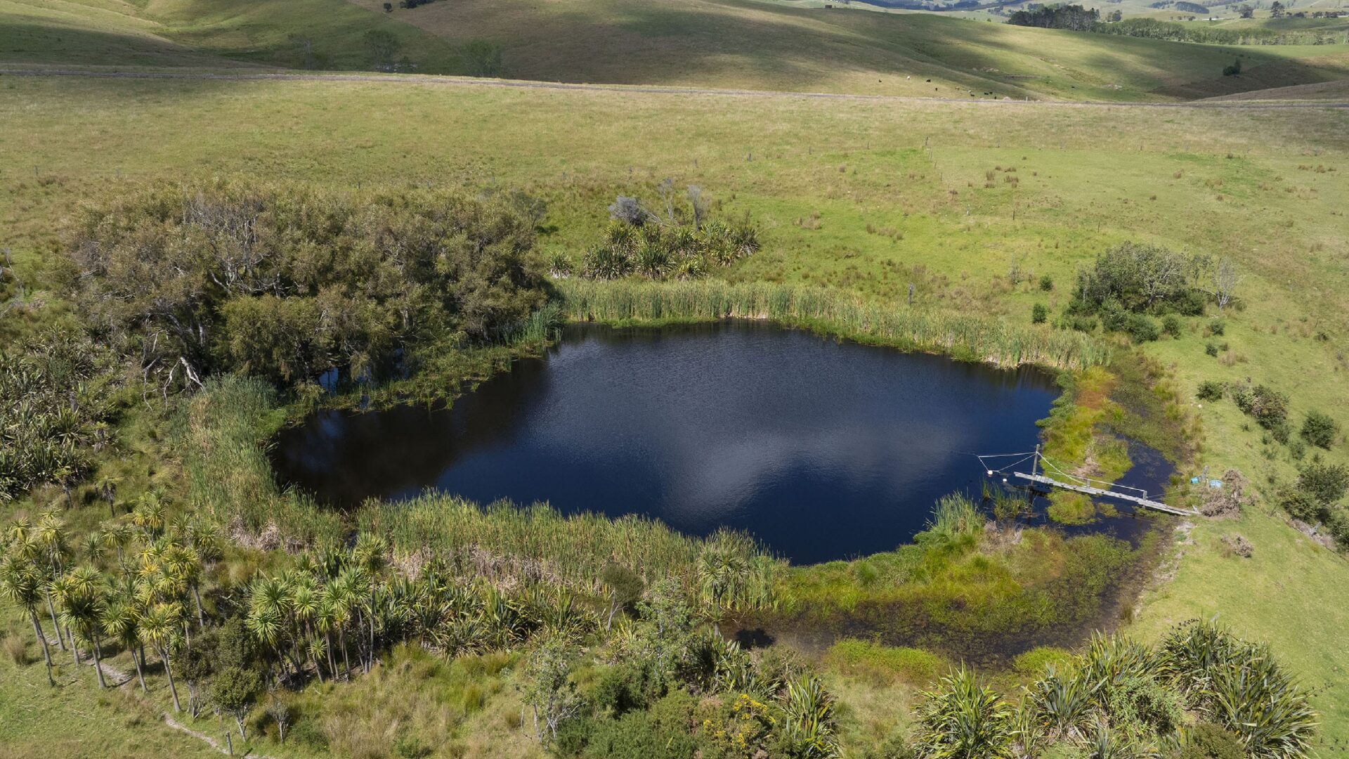 176139157__1763700472-74979-Untitled