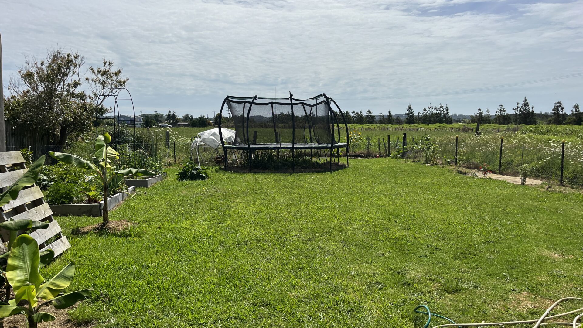 177090349__1764275905-3564-IMG8686