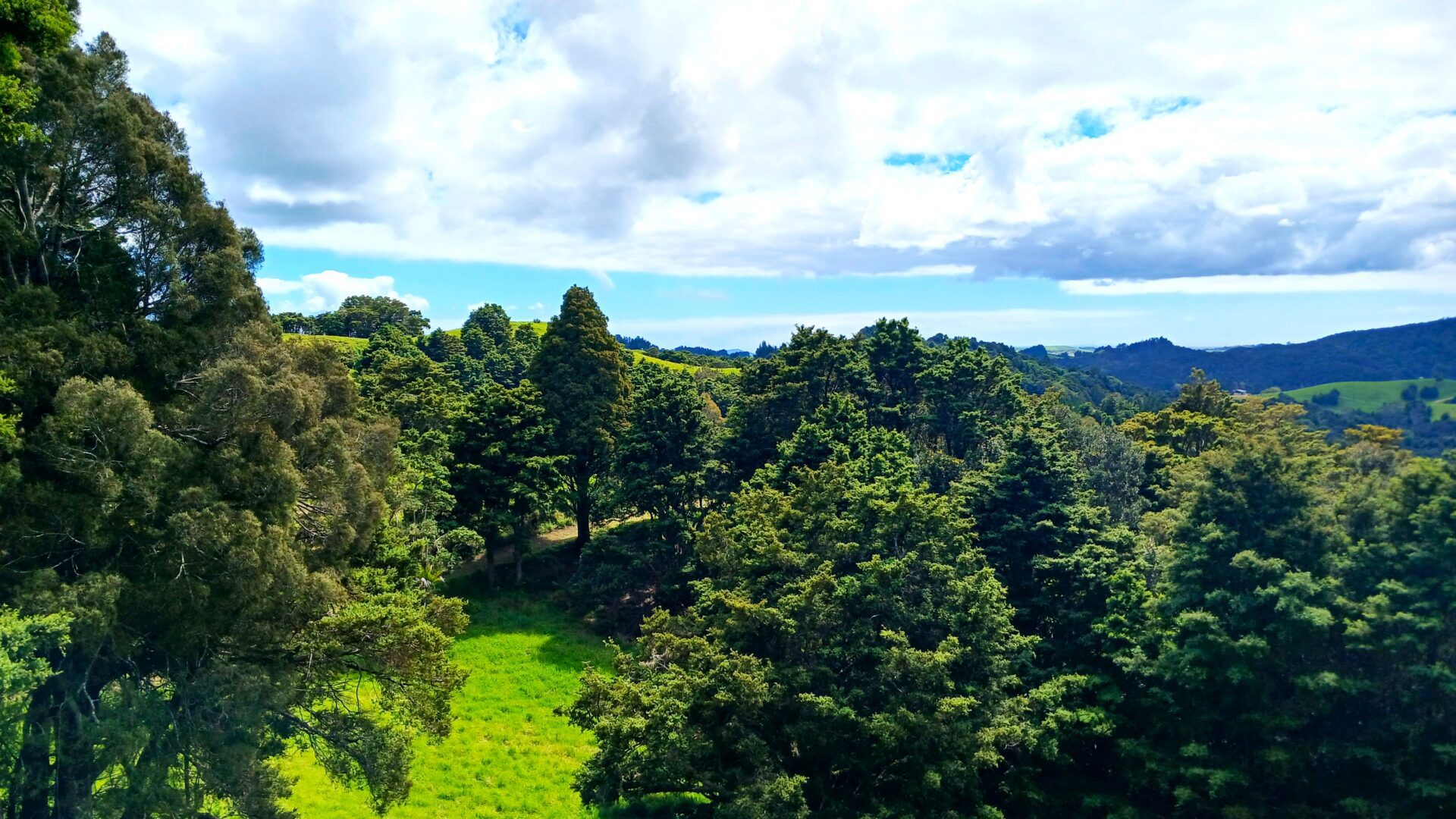 178398878__1764815357-55691-1171595701729549597-111163-20241021112435