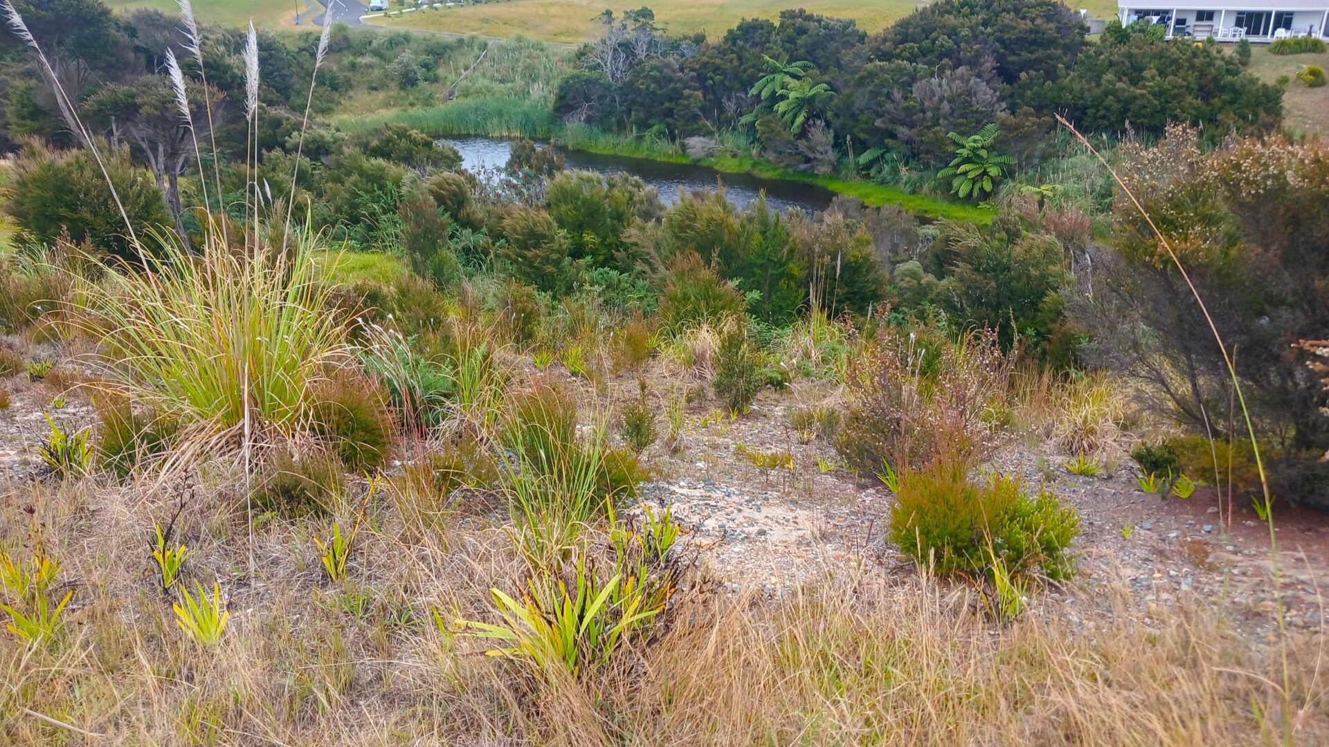 181210941__1766967079-36685-20251228151251