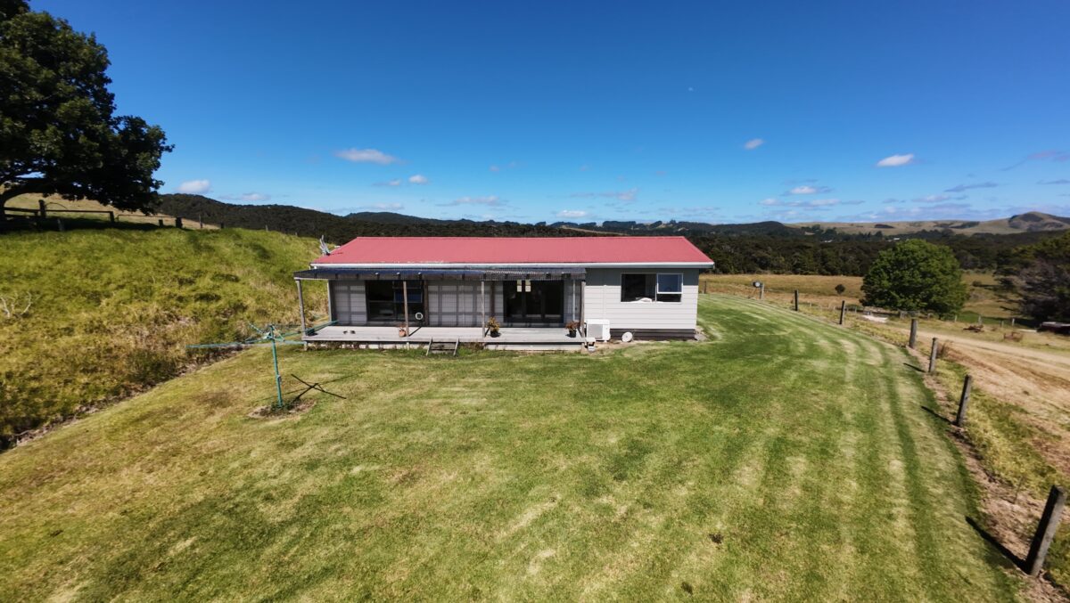 Introducing Queen Of The Hill