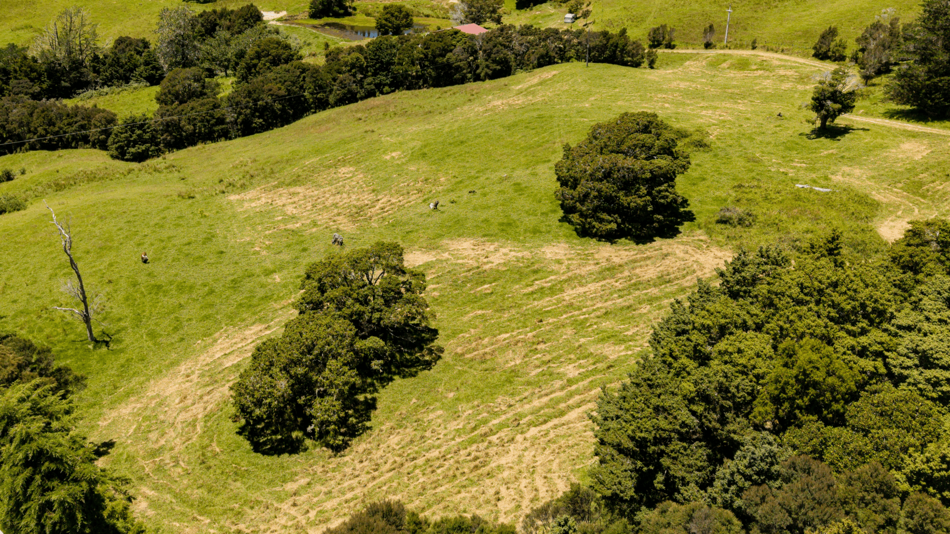 182014497__1768167571-23469-2