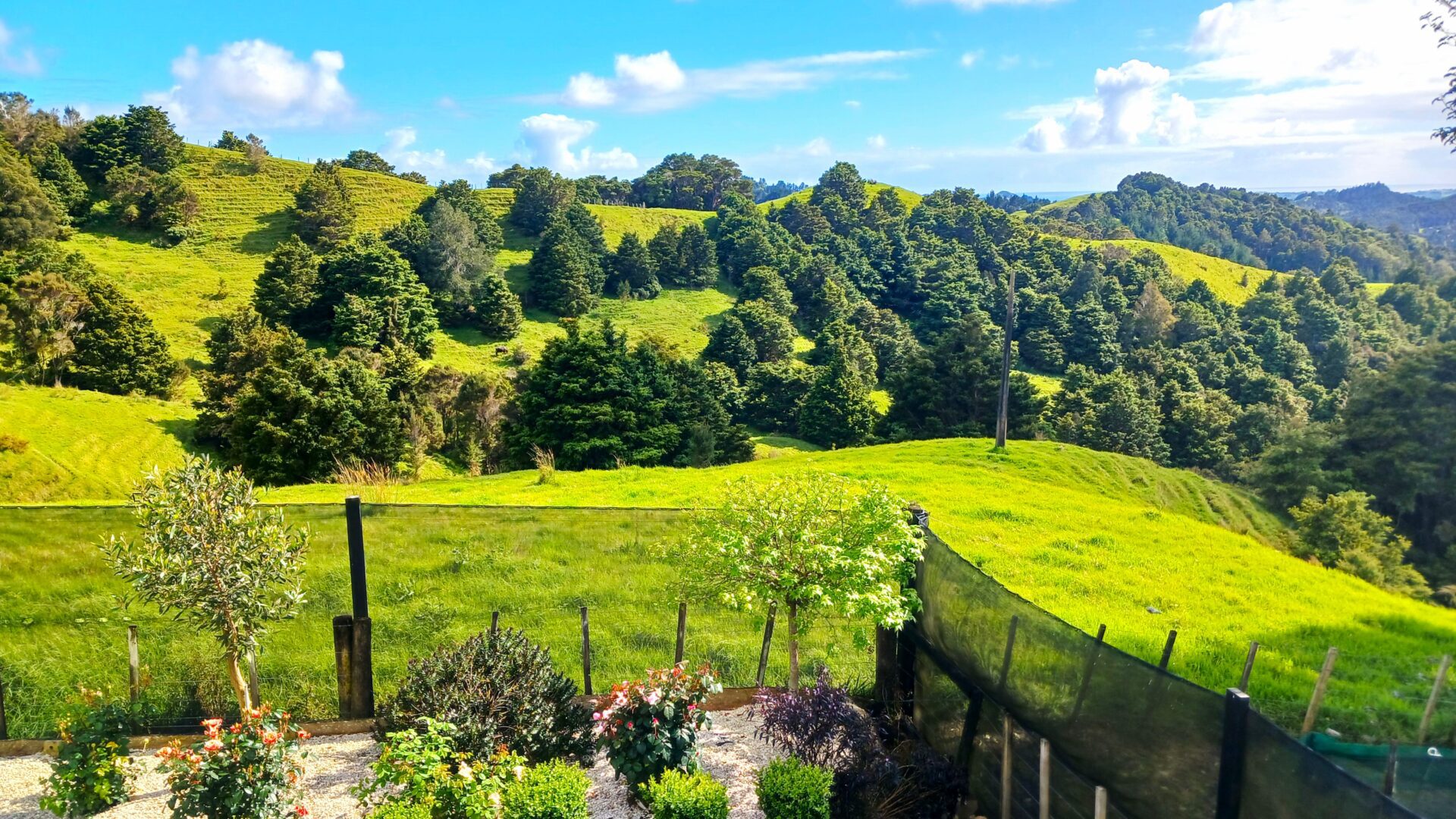 182037629__1768171685-33117-20241021095648