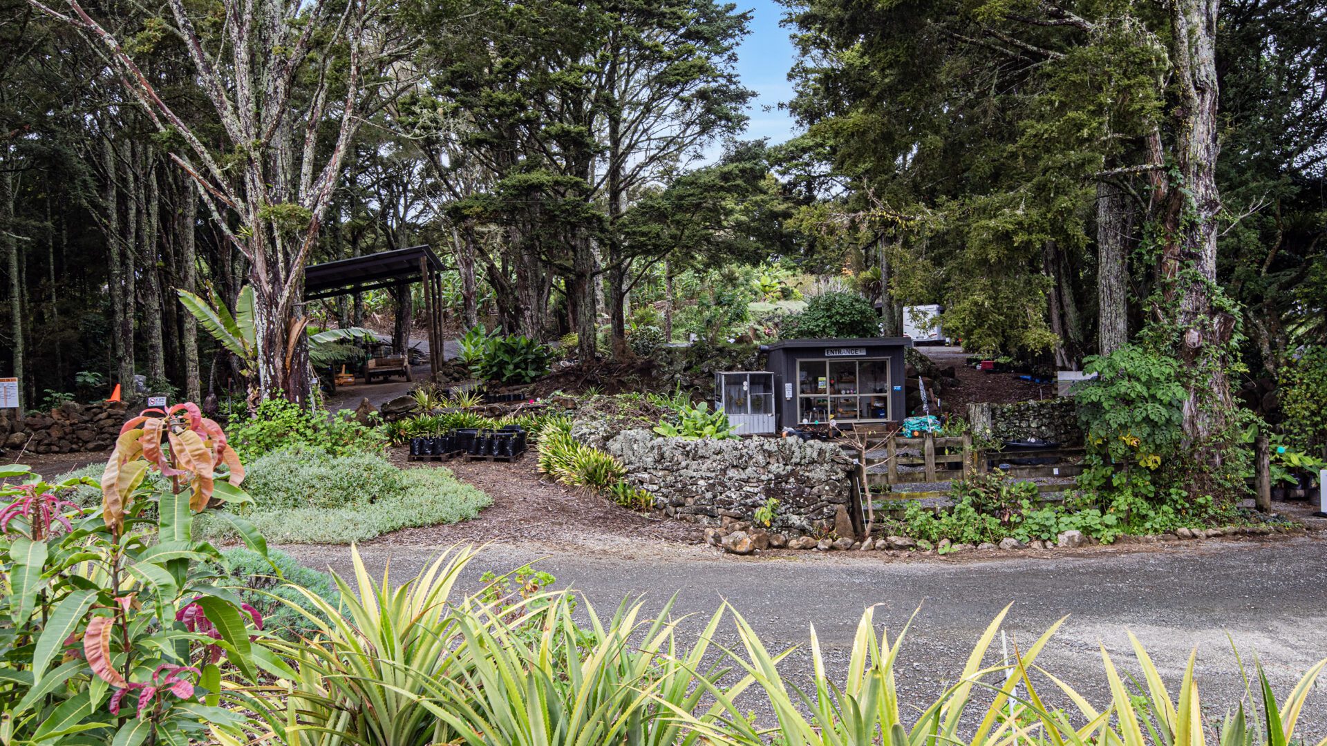 184155527__1769466610-18293-044Open2viewID593516-MangakahiaRd304