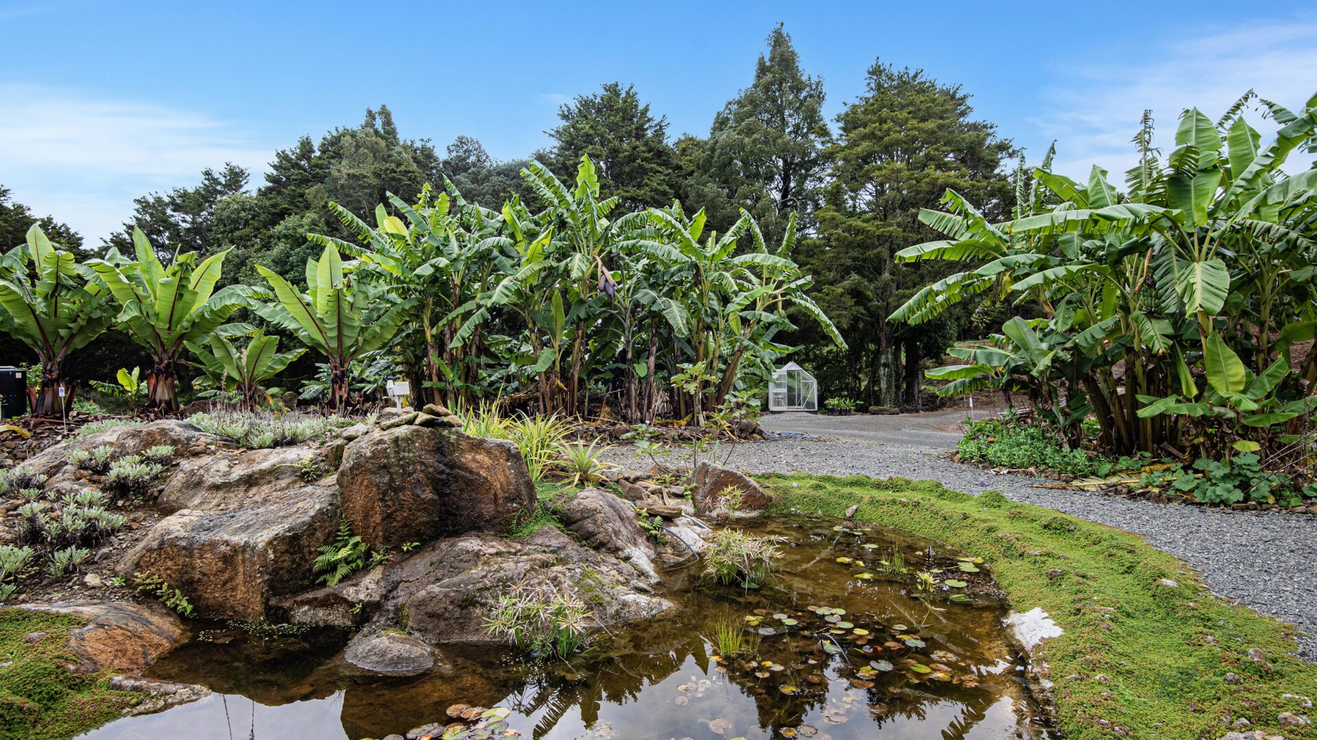 184155531__1769466612-31190-045Open2viewID593516-MangakahiaRd304