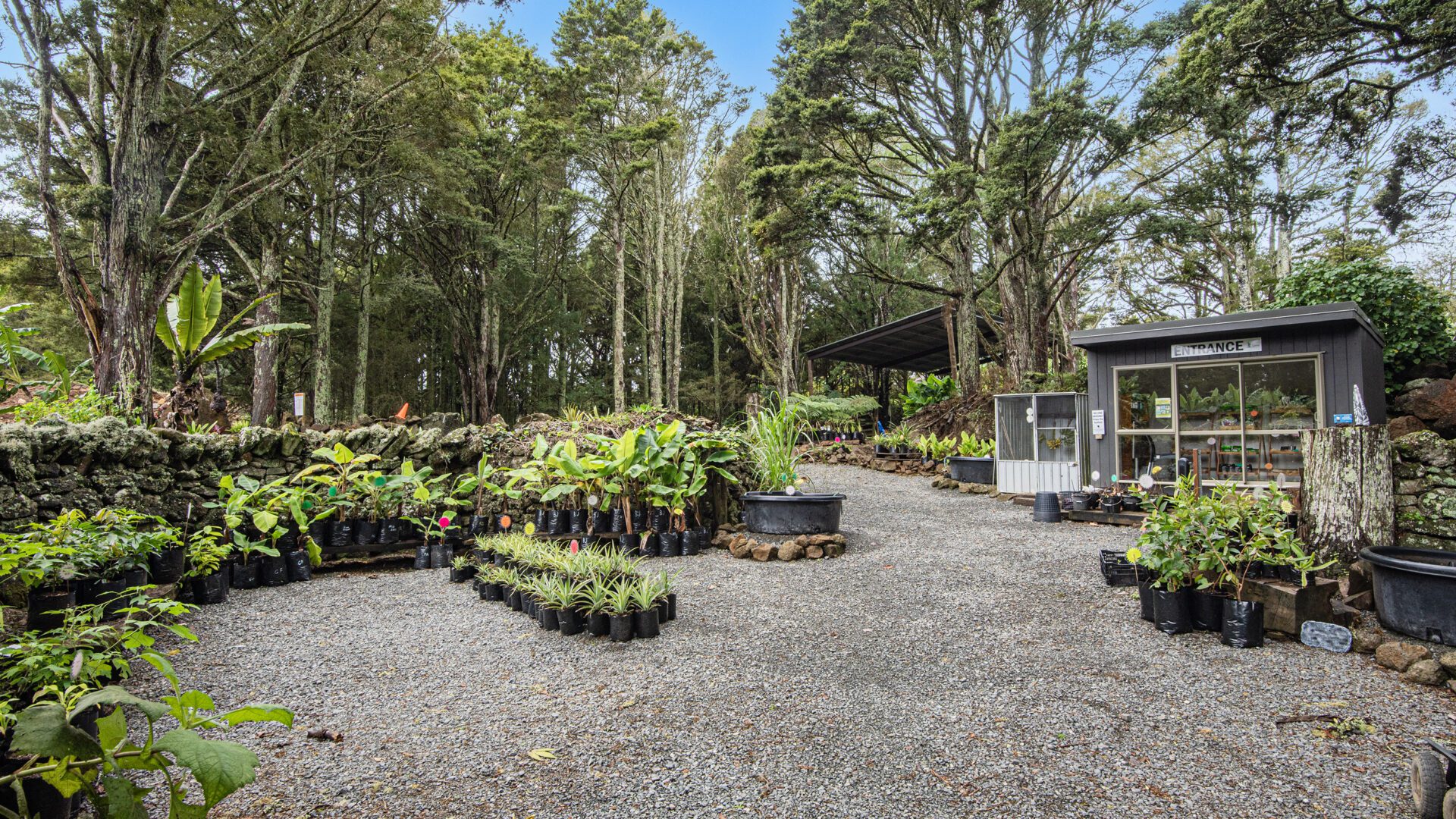 184155538__1769466618-18216-053Open2viewID593516-MangakahiaRd304