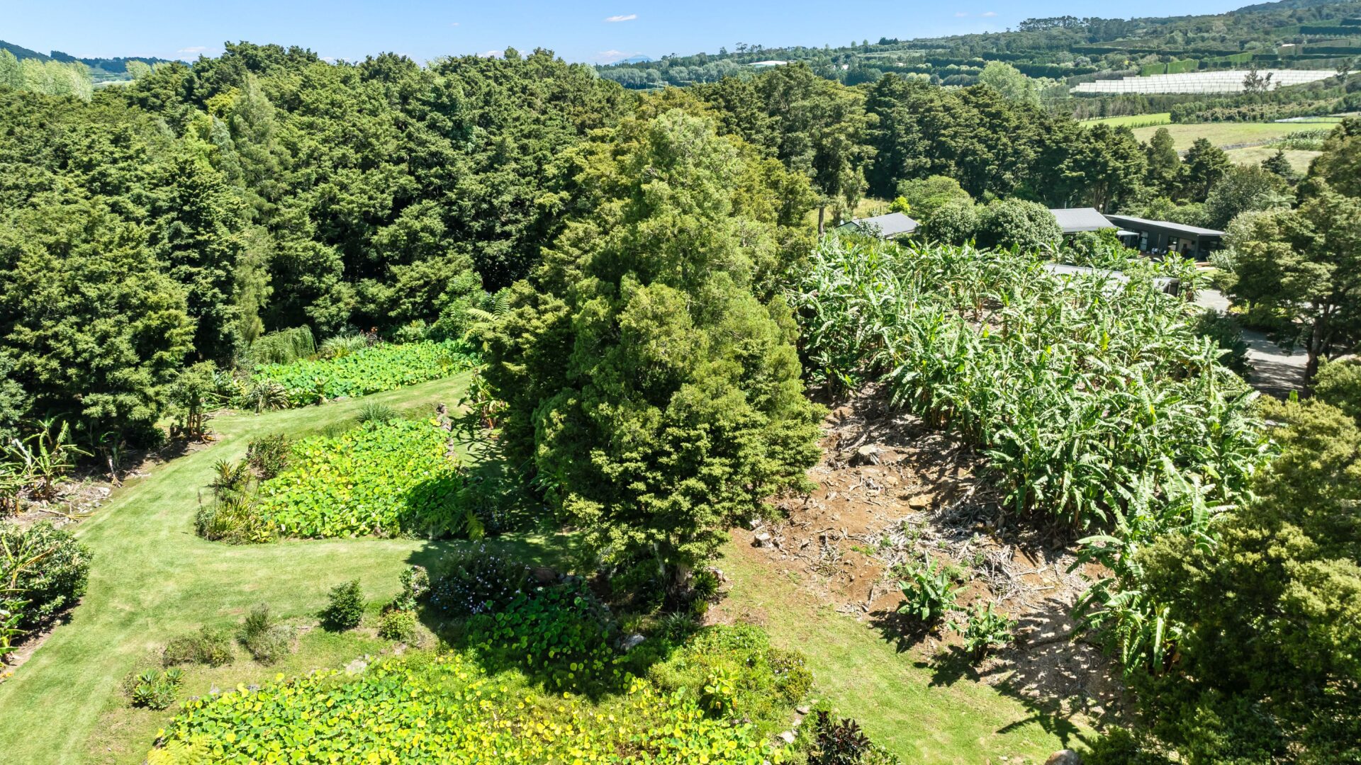 184155668__1769466641-31640-304MangakahiaRoad-9