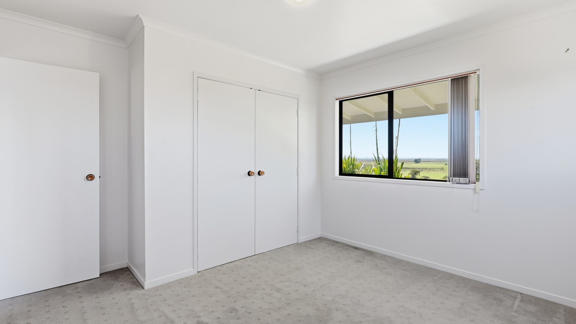 184564411__1769632219-16019-29