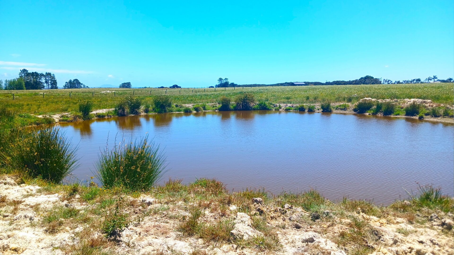 129684199__1734936478-164248-2