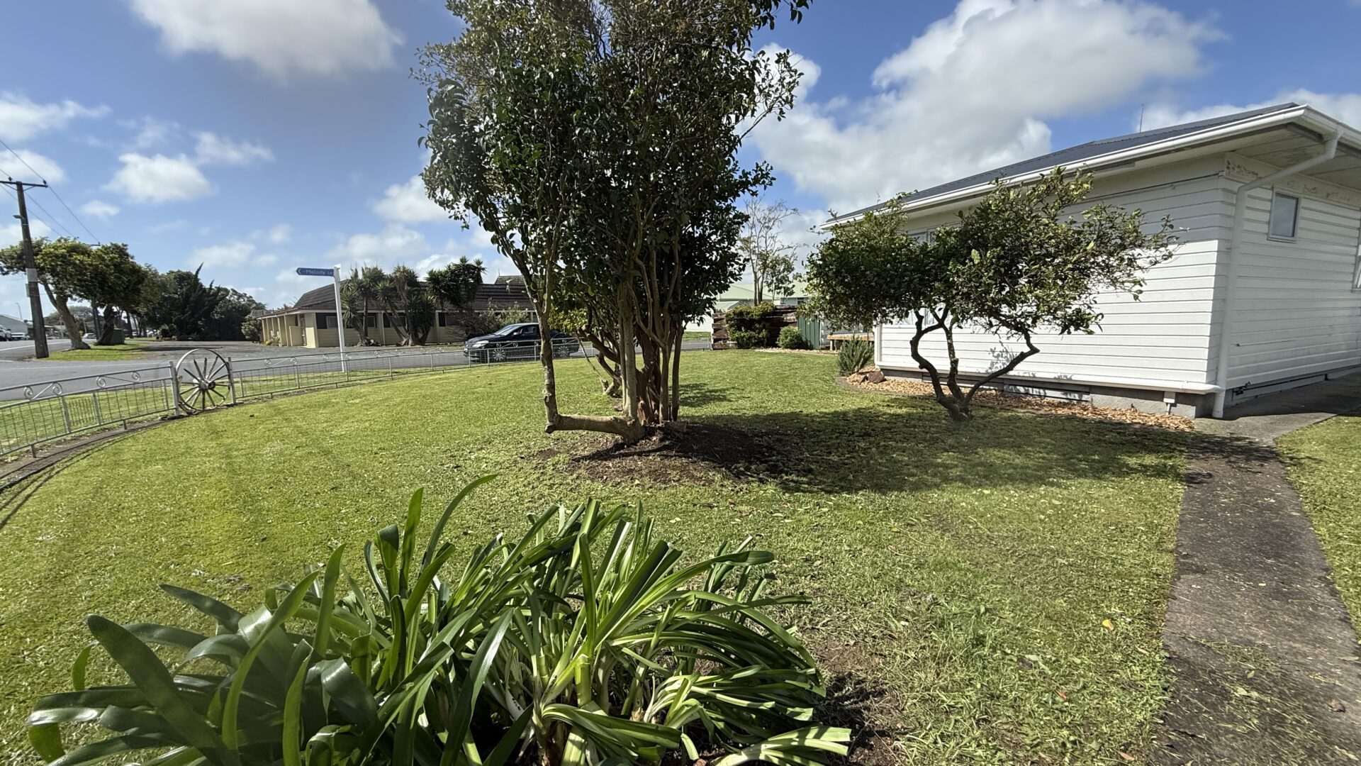 167885086__1760412778-69784-IMG8208